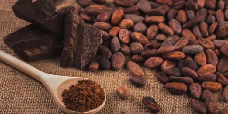 Can cocoa lower blood pressure, cholestrol risk?