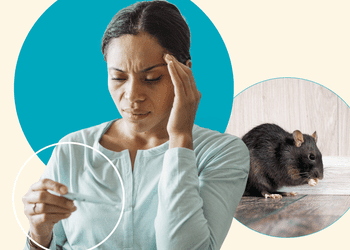 Rat poison ingestion